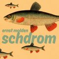 Ernst Molden - Schdrom