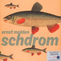 Coveransicht für Ernst Molden - Schdrom (LP + CD)